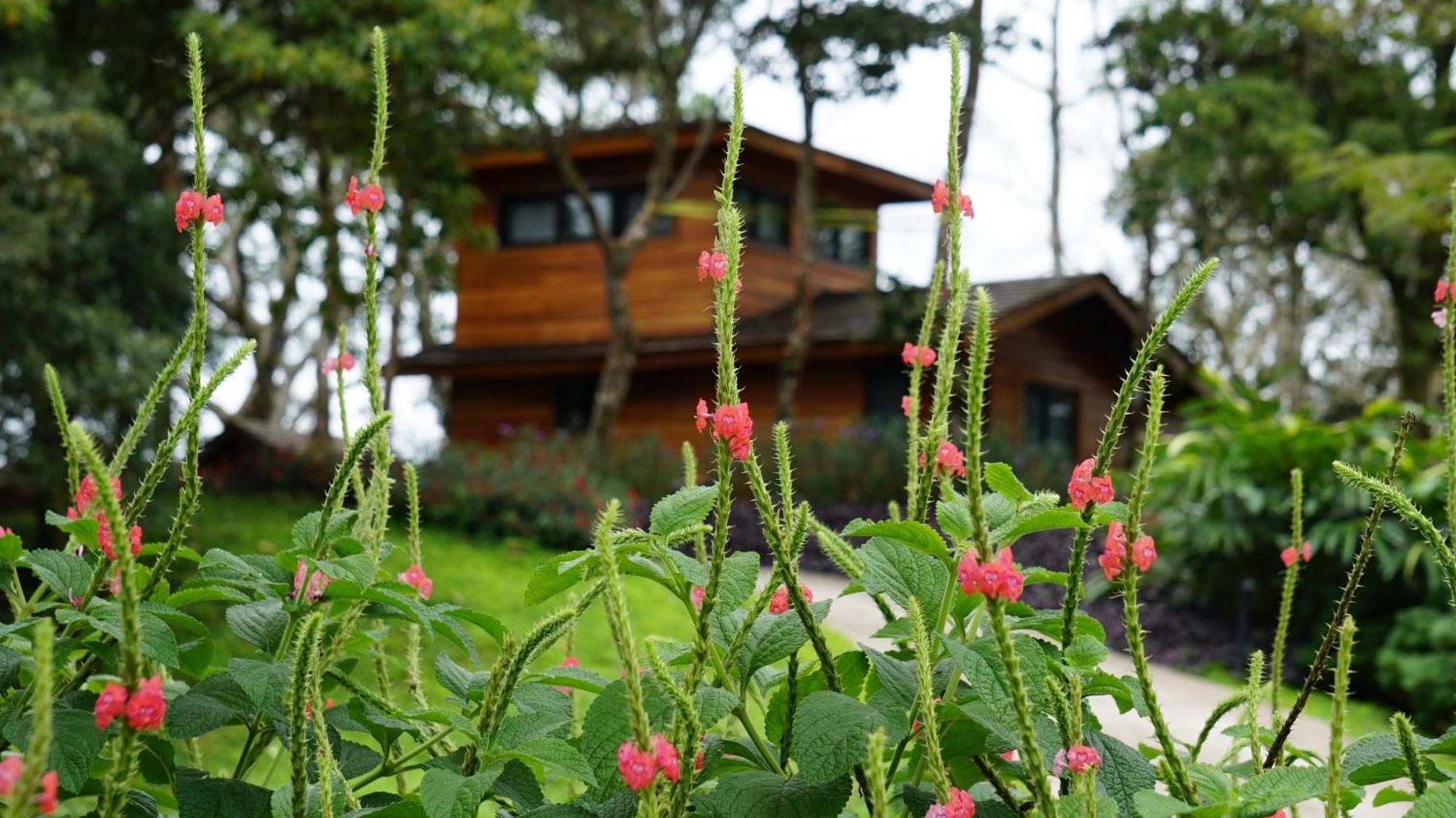 Lucero Golf And Country Club Tree Houses Boquete Buitenkant foto